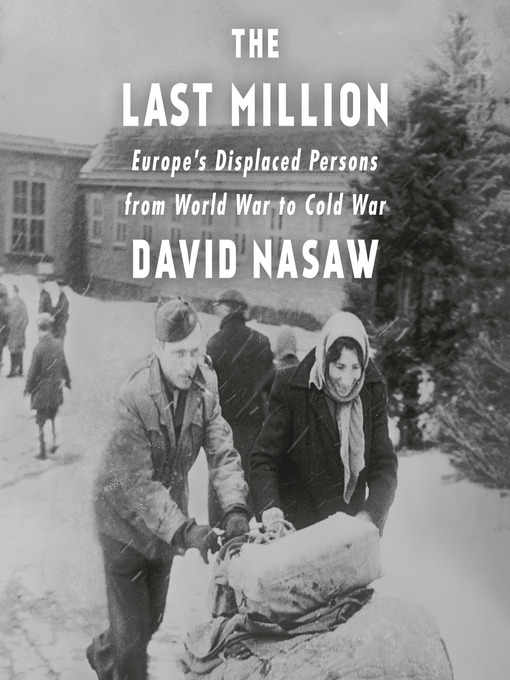 Title details for The Last Million by David Nasaw - Wait list